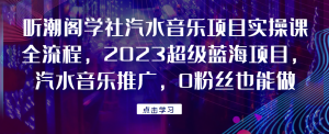 听潮阁学社汽水音乐项目实操课全流程，2023超级蓝海项目，汽水音乐推广，0粉丝也能做！网赚项目-副业赚钱-互联网创业-资源整合老猫网赚