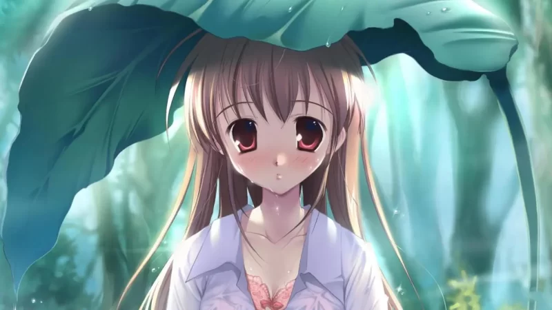 多多撸金：落地项目傻瓜式配合软件半自动日入2000+网赚项目-副业赚钱-互联网创业-资源整合老猫网赚