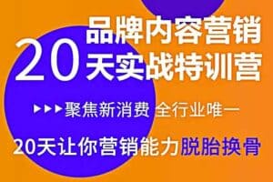 品牌内容营销 20天特训营,20天让你营销能力脱胎换骨网赚项目-副业赚钱-互联网创业-资源整合老猫网赚