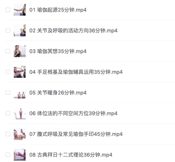 瑜伽从初级到高级（100课）网赚项目-副业赚钱-互联网创业-资源整合老猫网赚