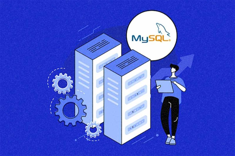 技术大牛成长课,从0到1带你手写一个数据库系统网赚项目-副业赚钱-互联网创业-资源整合老猫网赚