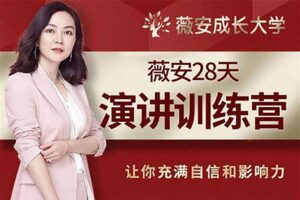 薇安28天销售高手训练营（完结）网赚项目-副业赚钱-互联网创业-资源整合老猫网赚