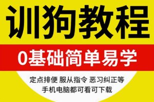 训狗教程视频 训狗师专业指导零基础自学宠物训练犬课程网赚项目-副业赚钱-互联网创业-资源整合老猫网赚