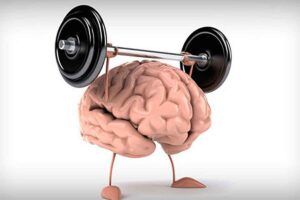 走向心智成熟的30个实用心理训练网赚项目-副业赚钱-互联网创业-资源整合老猫网赚