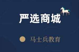 马士兵严选商城项目 视频课程网赚项目-副业赚钱-互联网创业-资源整合老猫网赚