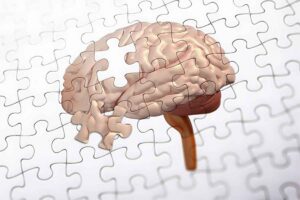 高效学习记忆力提升课网赚项目-副业赚钱-互联网创业-资源整合老猫网赚