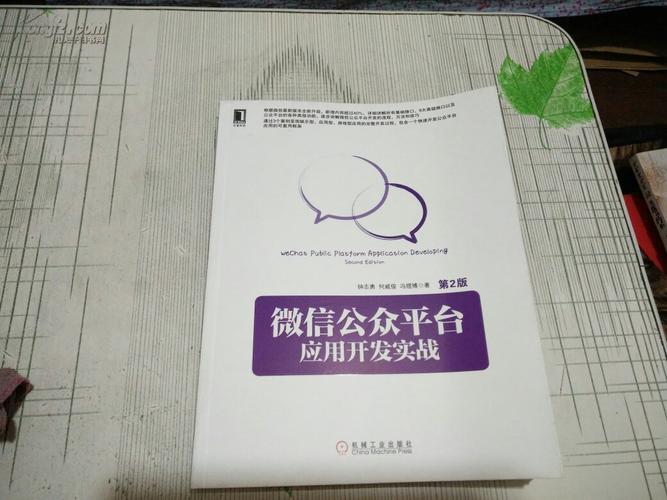 微信公众号实战开发实战教程非书籍！网赚项目-副业赚钱-互联网创业-资源整合老猫网赚